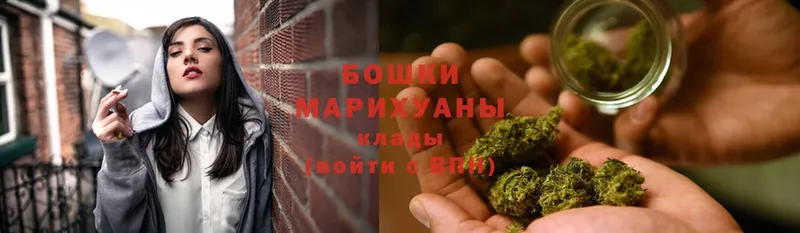 Бошки марихуана OG Kush  хочу   Сясьстрой 